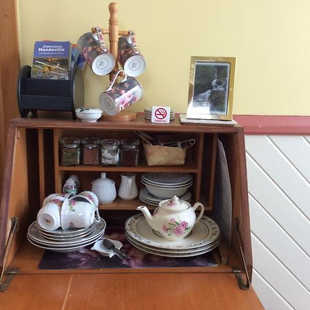 Catlins Retreat B & B Owaka Екстериор снимка