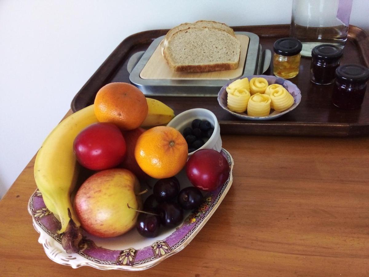 Catlins Retreat B & B Owaka Екстериор снимка